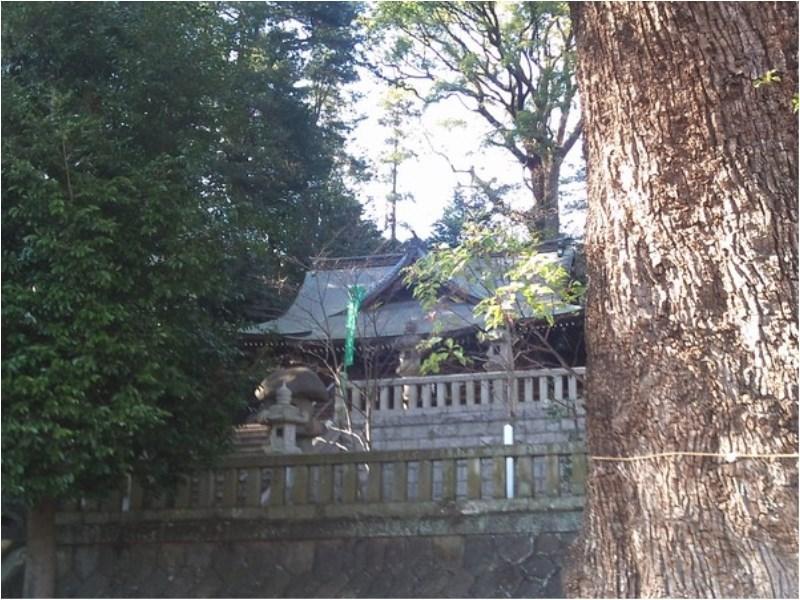 Yugawara Mizunokaori Hotell Exteriör bild